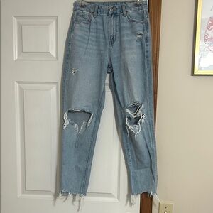 American Eagle strigid mom jeans